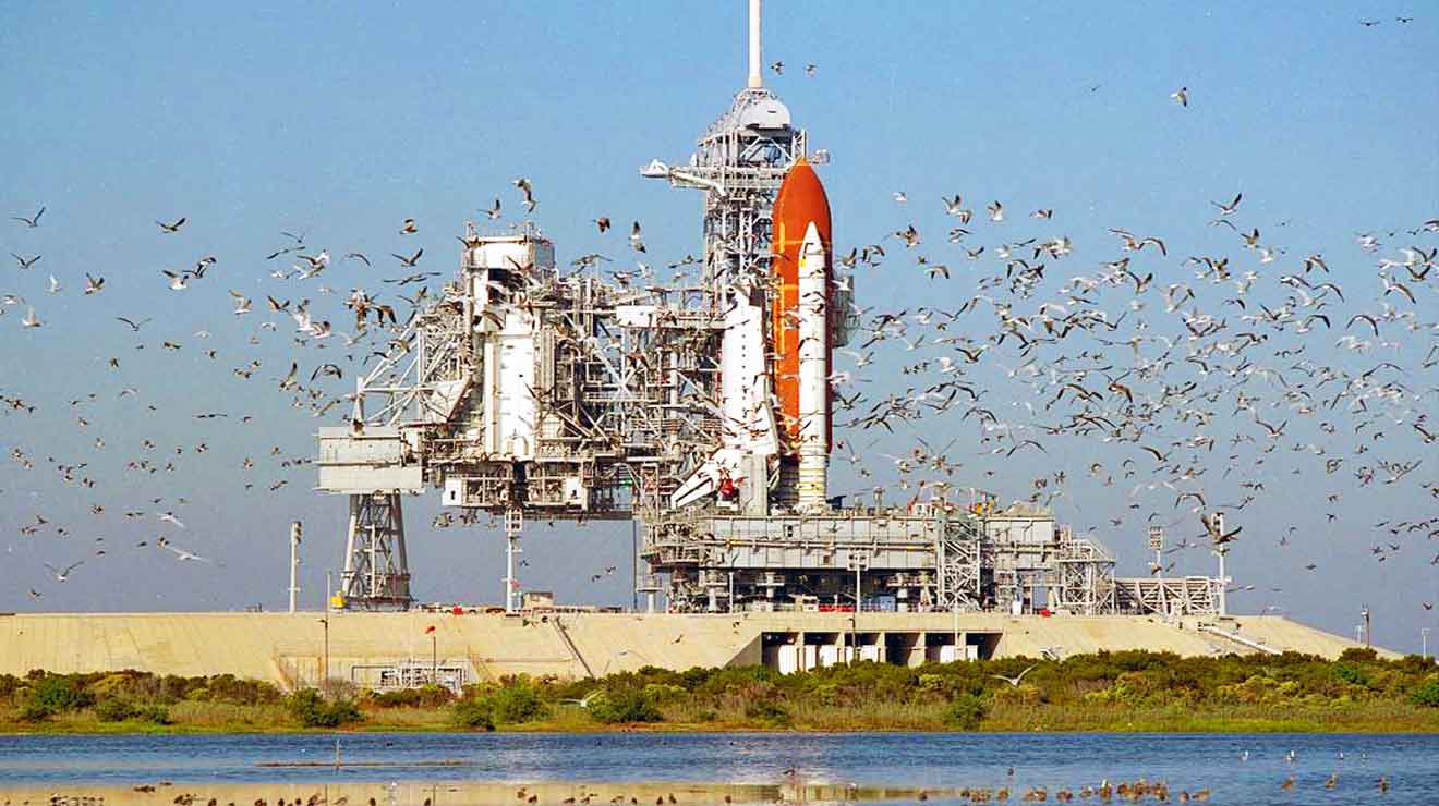 Space-Shuttle-Woodpeckers